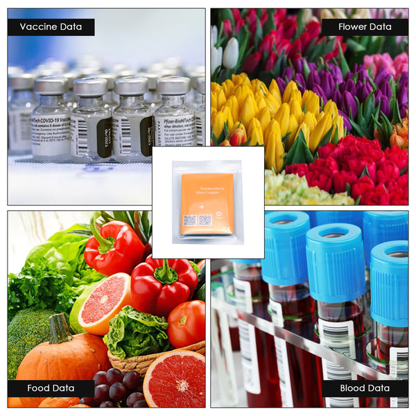 DLG-477 CE Approved IP67 Waterproof 4000 Sets Data NFC Temperature Datalogger Wireless Data Logger Temperature Recorder for Cold Chain