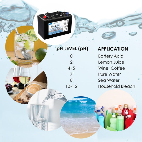 PHM-230 Digital Online pH & Temperature Meter, Water Quality Monitoring Pool Aquarium Tester