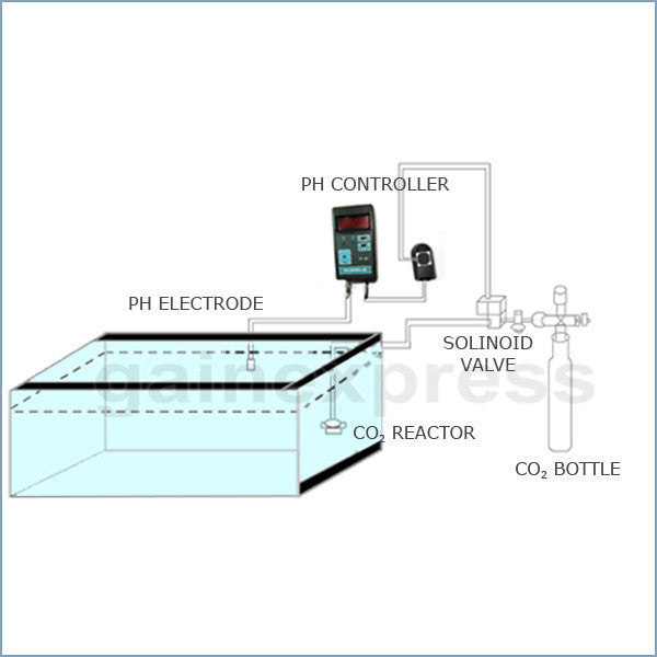 PH-201 Digital pH Controller + Electrode + Solutions 110V or 220V